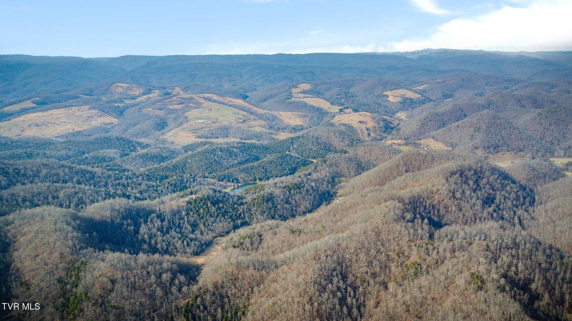 Photo #39: 547 Wynding Way Drive