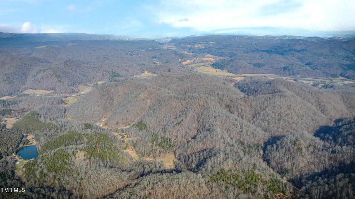 Photo #41: 547 Wynding Way Drive