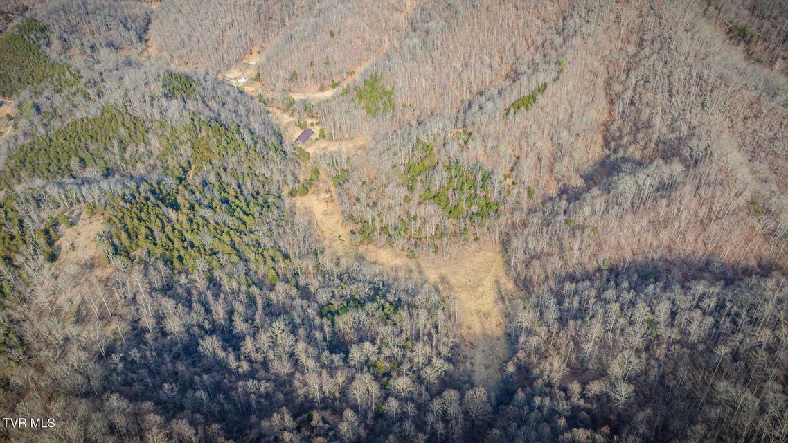 Photo #42: 547 Wynding Way Drive