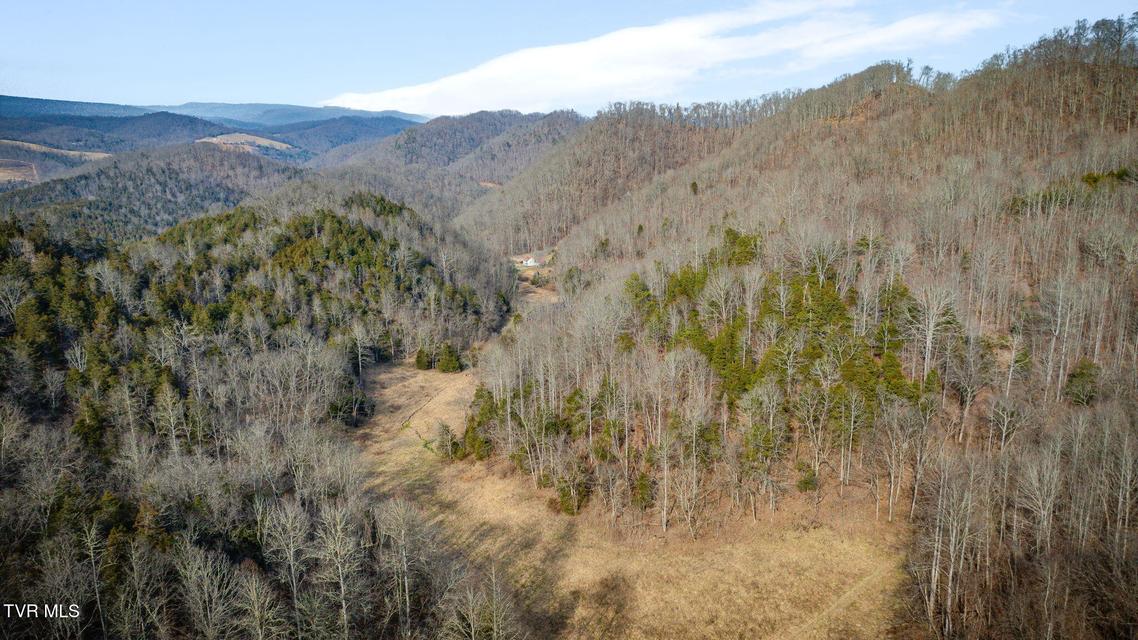 Photo #43: 547 Wynding Way Drive