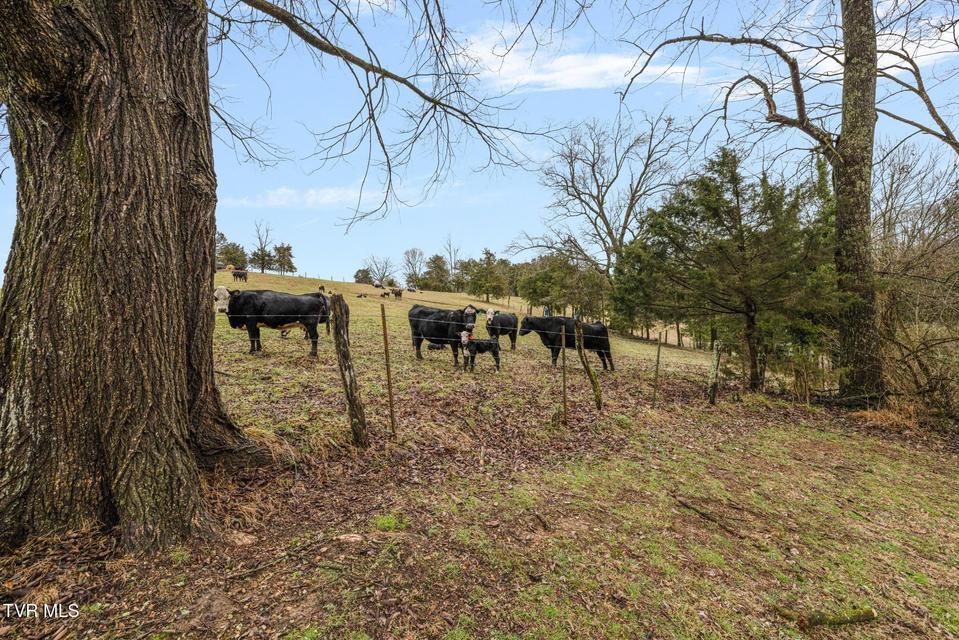 Photo #48: 206 Highland Road