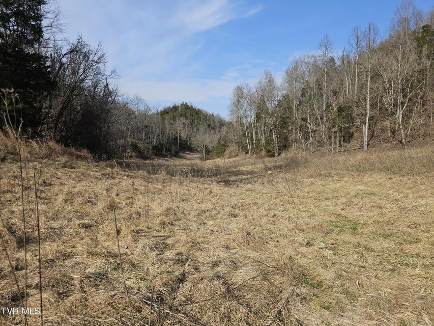 Photo #49: 547 Wynding Way Drive