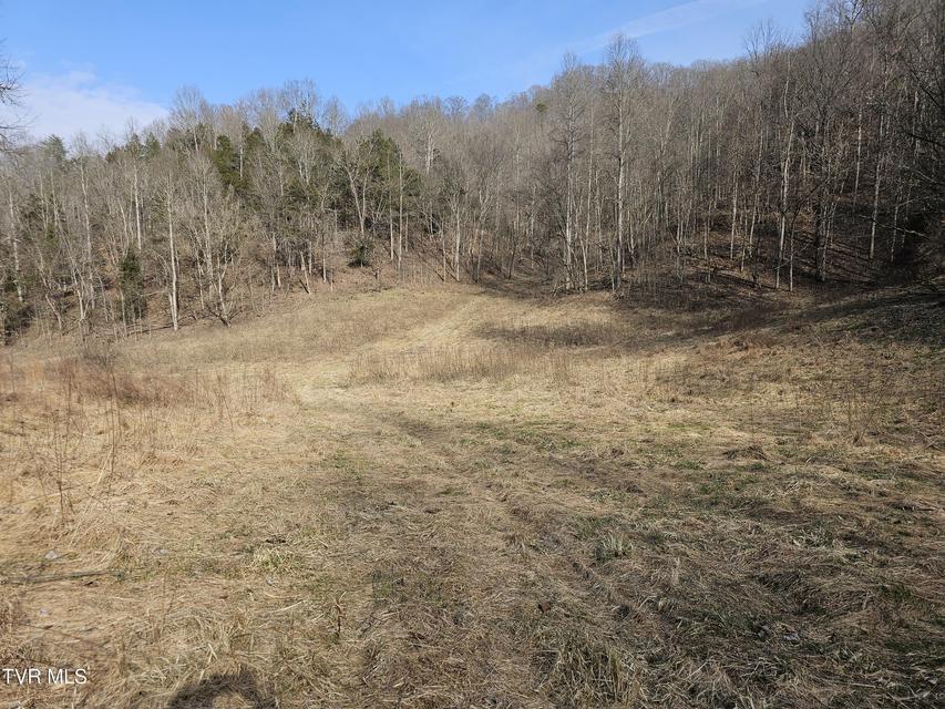 Photo #50: 547 Wynding Way Drive