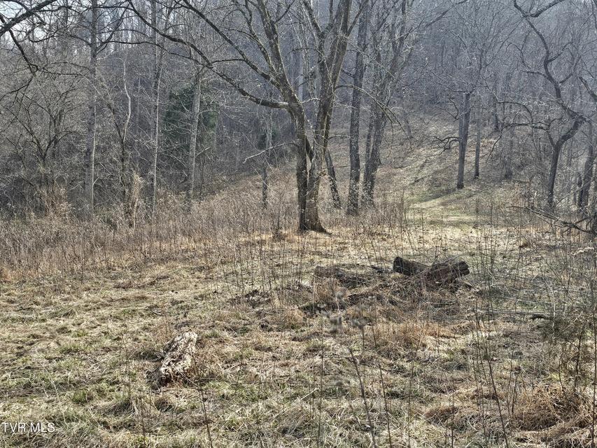 Photo #52: 547 Wynding Way Drive