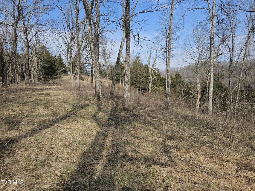 Photo #53: 547 Wynding Way Drive