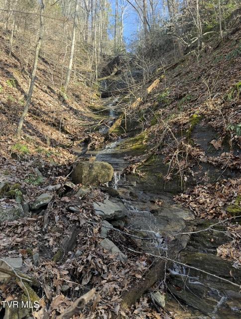 Photo #15: 16765 Bristol Highway