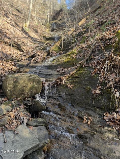 Photo #18: 16765 Bristol Highway