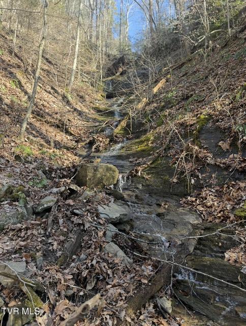 Photo #17: 16765 Bristol Highway