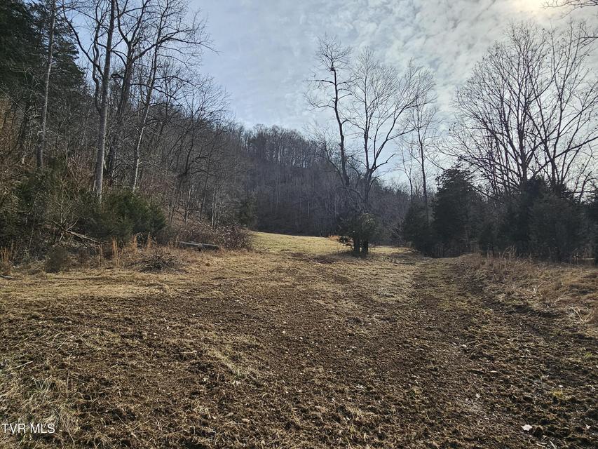 Photo #54: 547 Wynding Way Drive