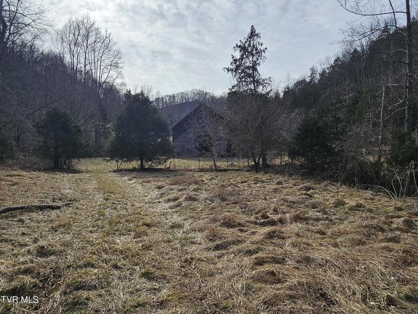 Photo #56: 547 Wynding Way Drive