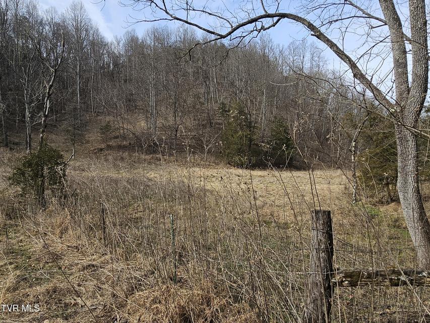 Photo #57: 547 Wynding Way Drive