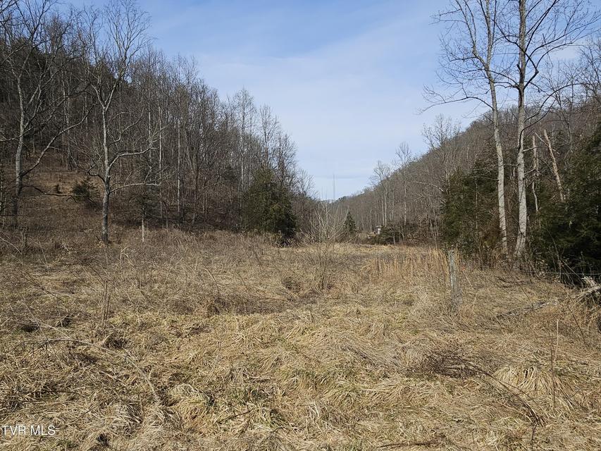 Photo #58: 547 Wynding Way Drive