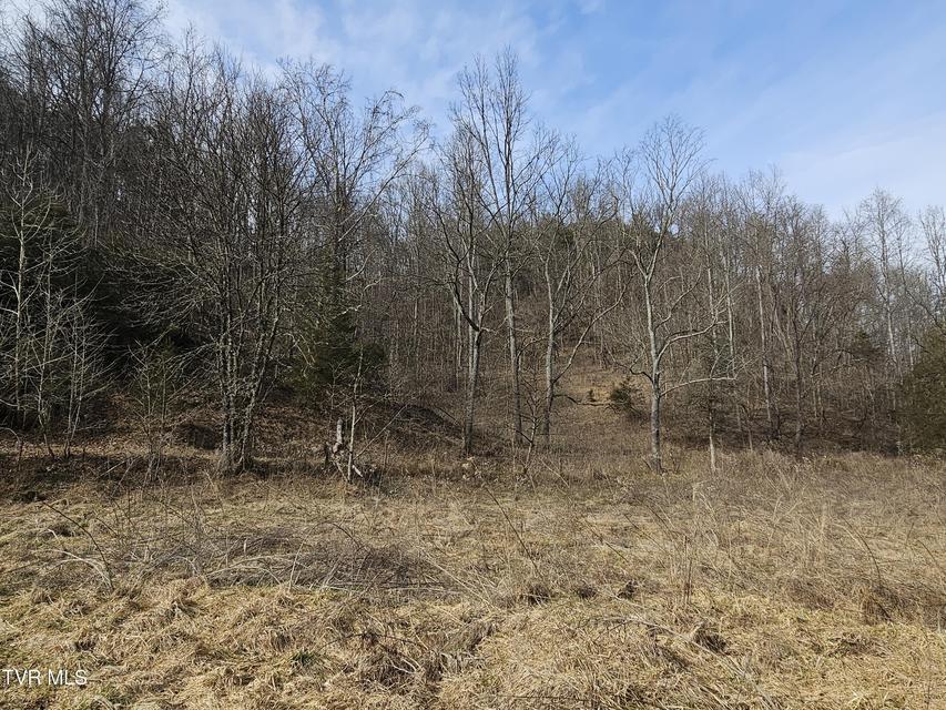 Photo #59: 547 Wynding Way Drive