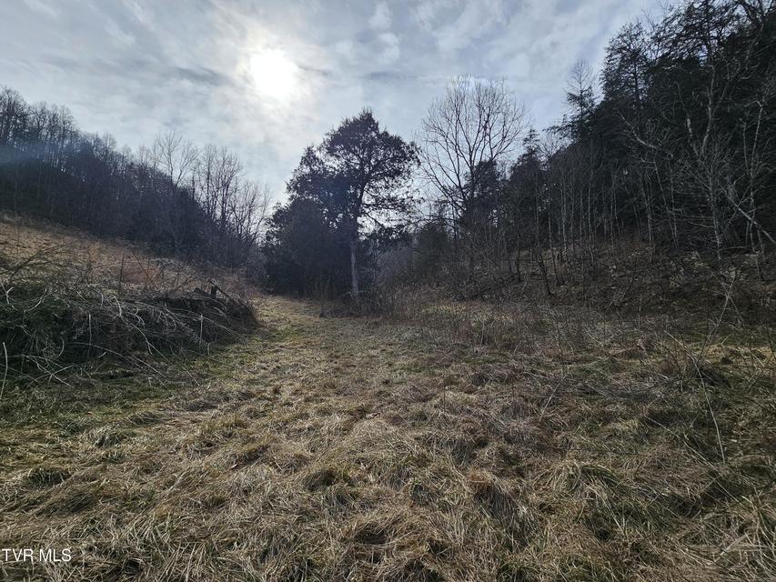 Photo #62: 547 Wynding Way Drive