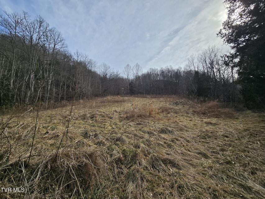 Photo #68: 547 Wynding Way Drive