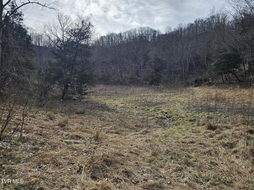 Photo #69: 547 Wynding Way Drive