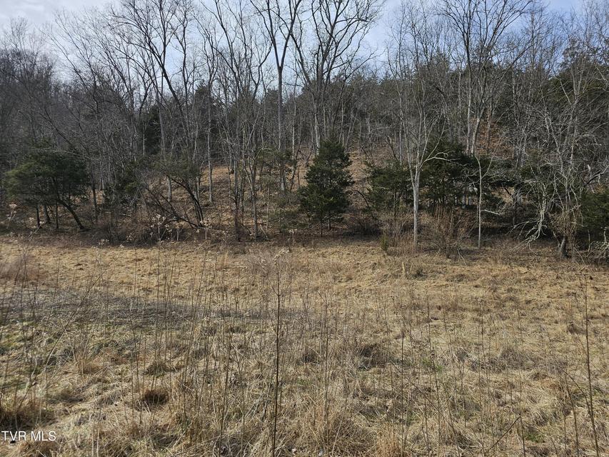 Photo #70: 547 Wynding Way Drive