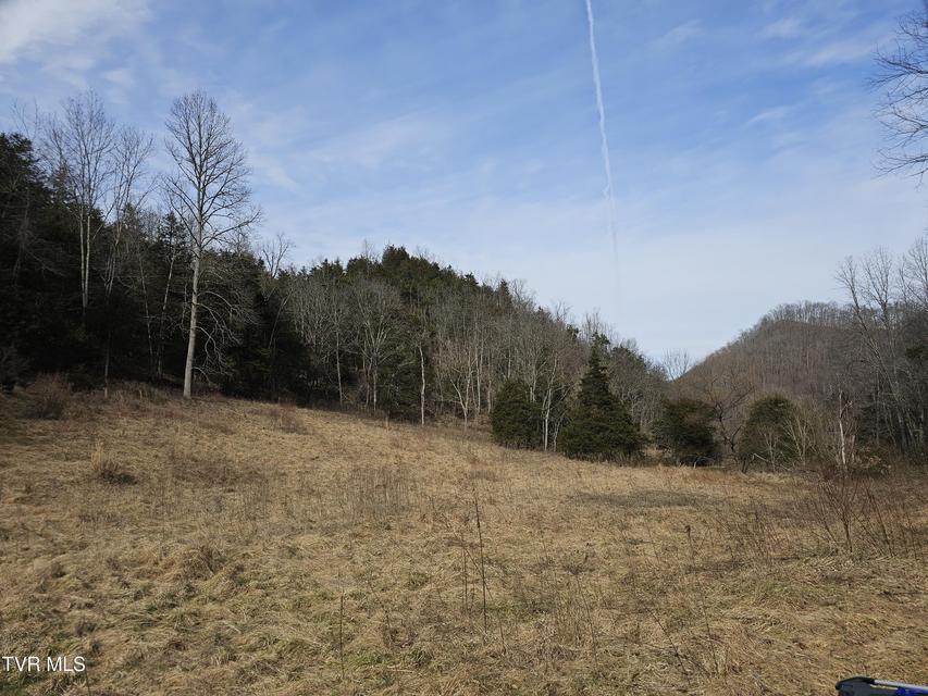 Photo #71: 547 Wynding Way Drive