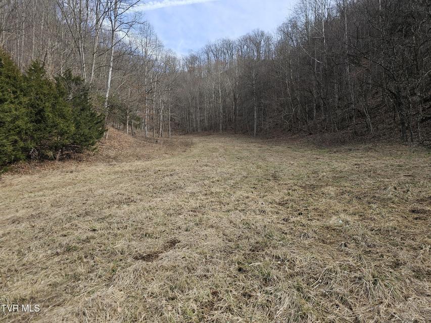 Photo #73: 547 Wynding Way Drive