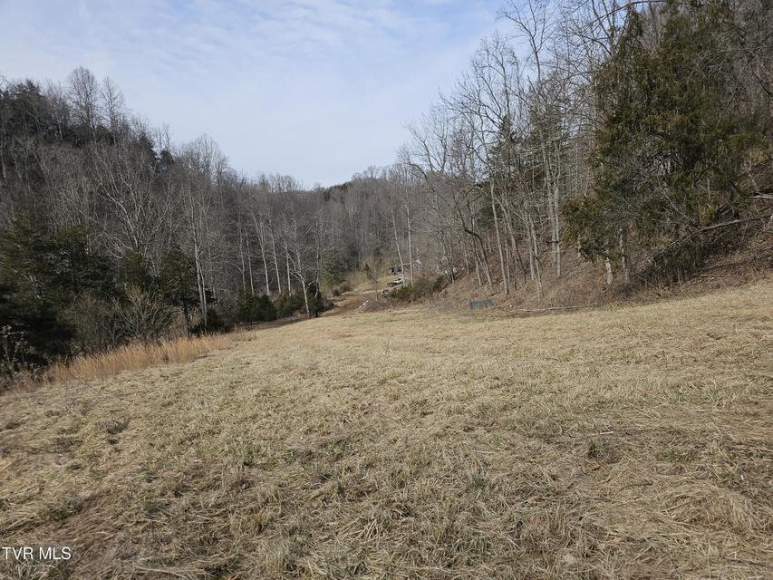 Photo #74: 547 Wynding Way Drive