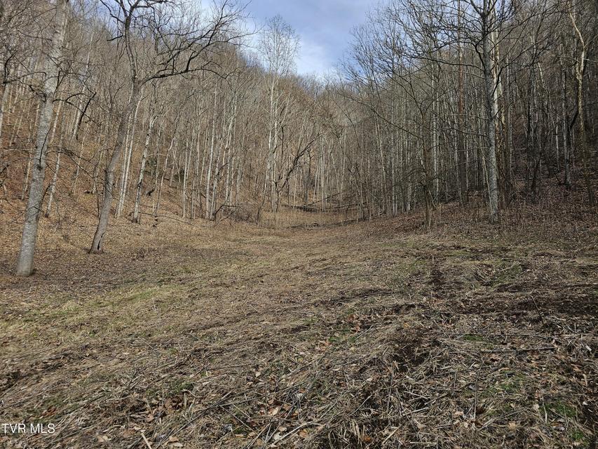 Photo #75: 547 Wynding Way Drive