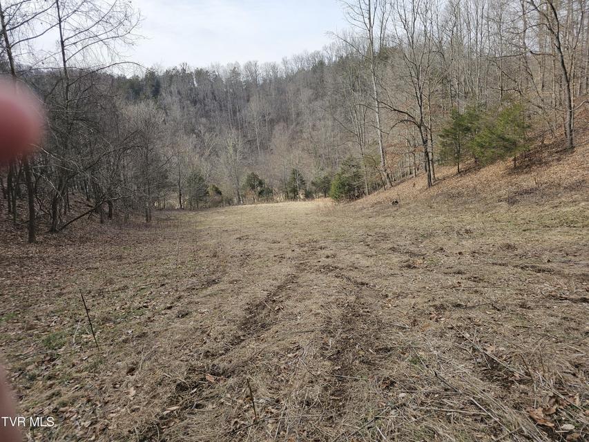 Photo #76: 547 Wynding Way Drive