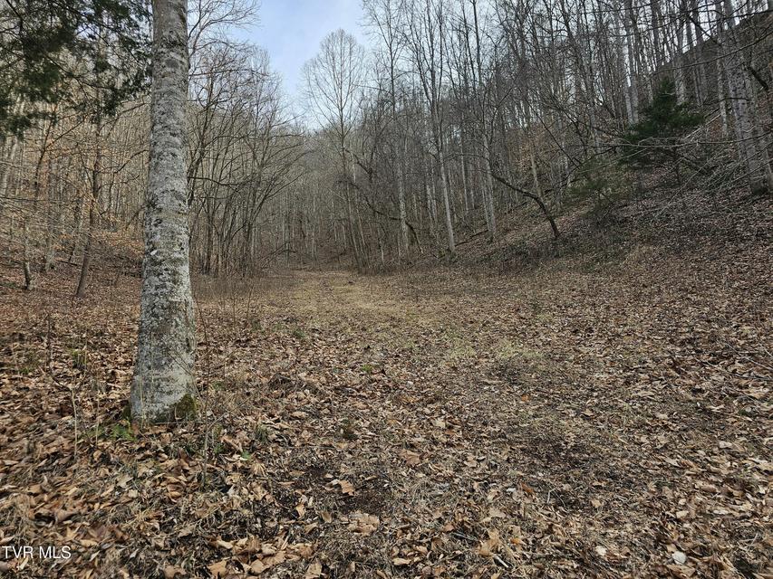 Photo #77: 547 Wynding Way Drive