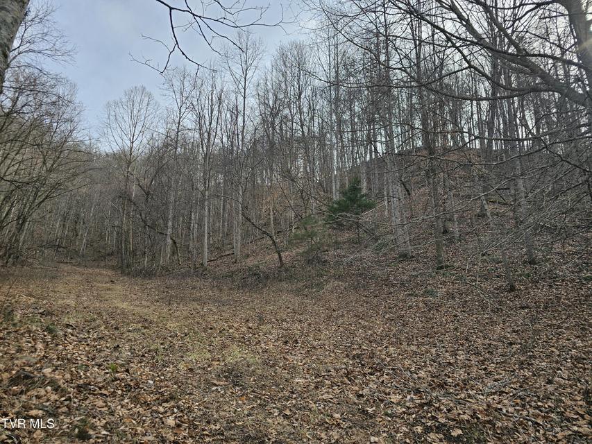 Photo #78: 547 Wynding Way Drive