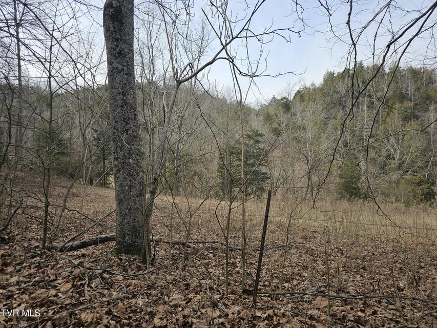 Photo #79: 547 Wynding Way Drive