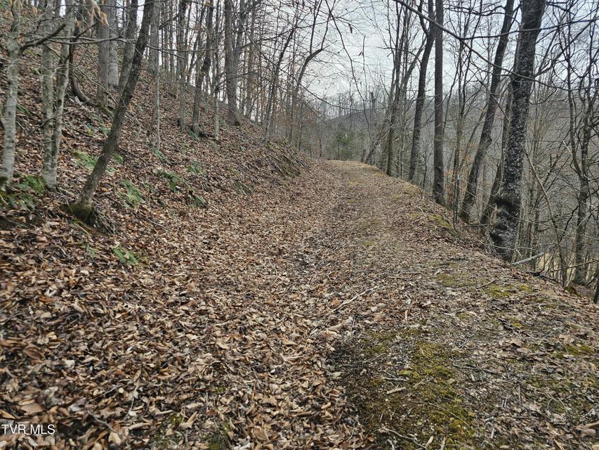 Photo #80: 547 Wynding Way Drive