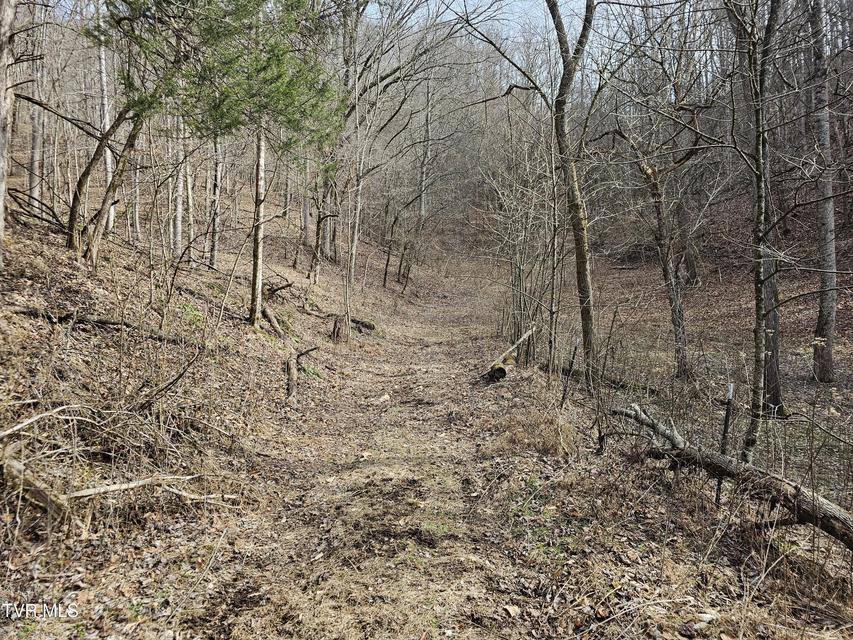 Photo #81: 547 Wynding Way Drive