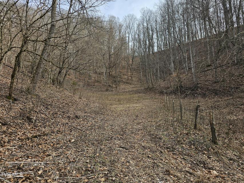 Photo #82: 547 Wynding Way Drive