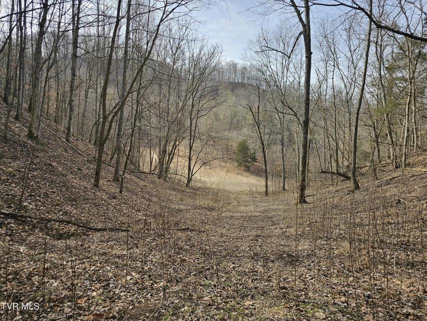 Photo #83: 547 Wynding Way Drive