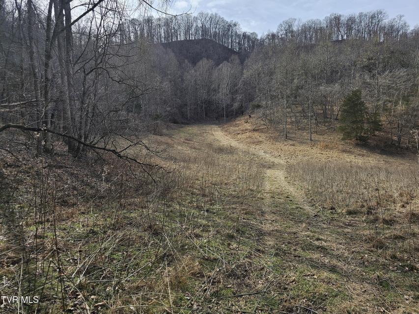 Photo #84: 547 Wynding Way Drive