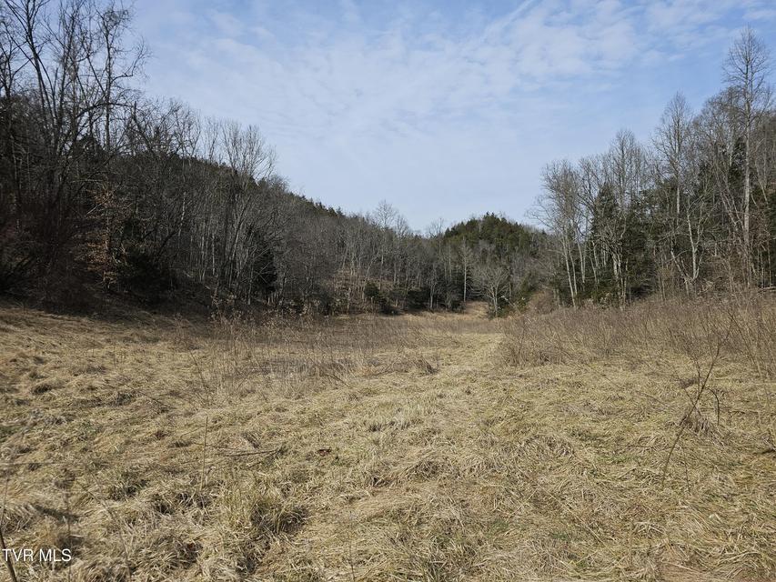 Photo #85: 547 Wynding Way Drive