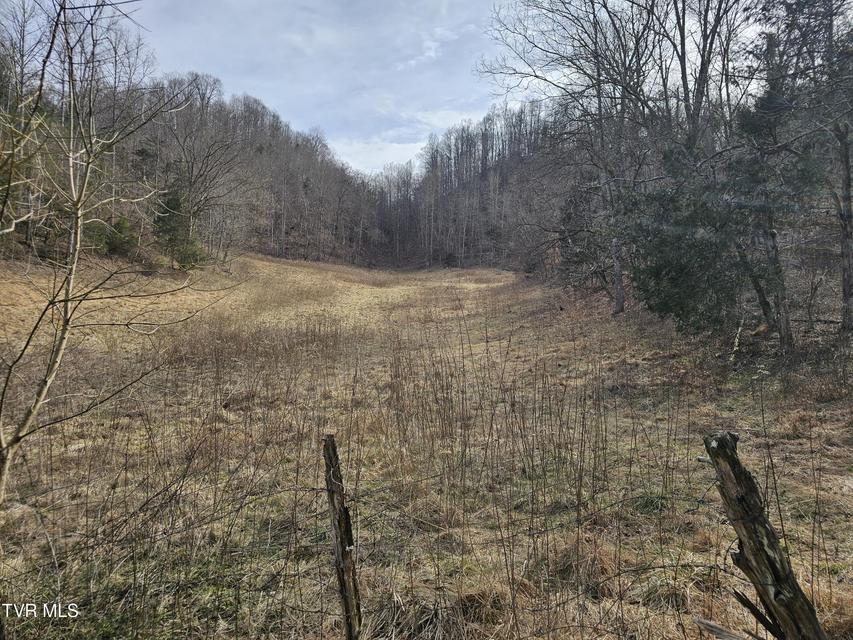 Photo #87: 547 Wynding Way Drive