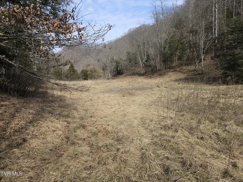 Photo #88: 547 Wynding Way Drive