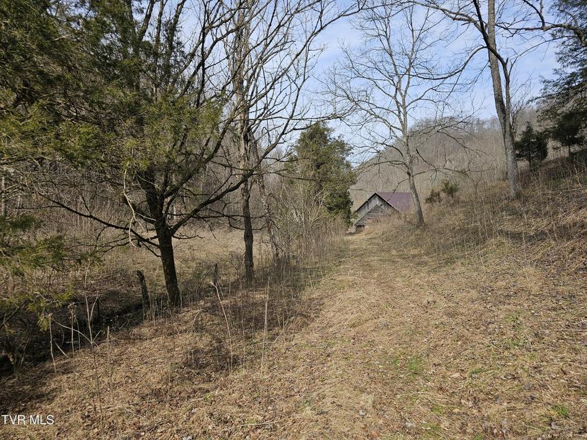 Photo #89: 547 Wynding Way Drive