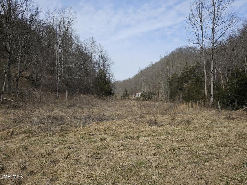 Photo #90: 547 Wynding Way Drive