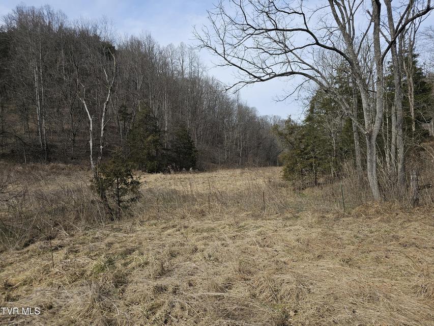 Photo #91: 547 Wynding Way Drive