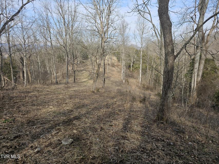 Photo #94: 547 Wynding Way Drive