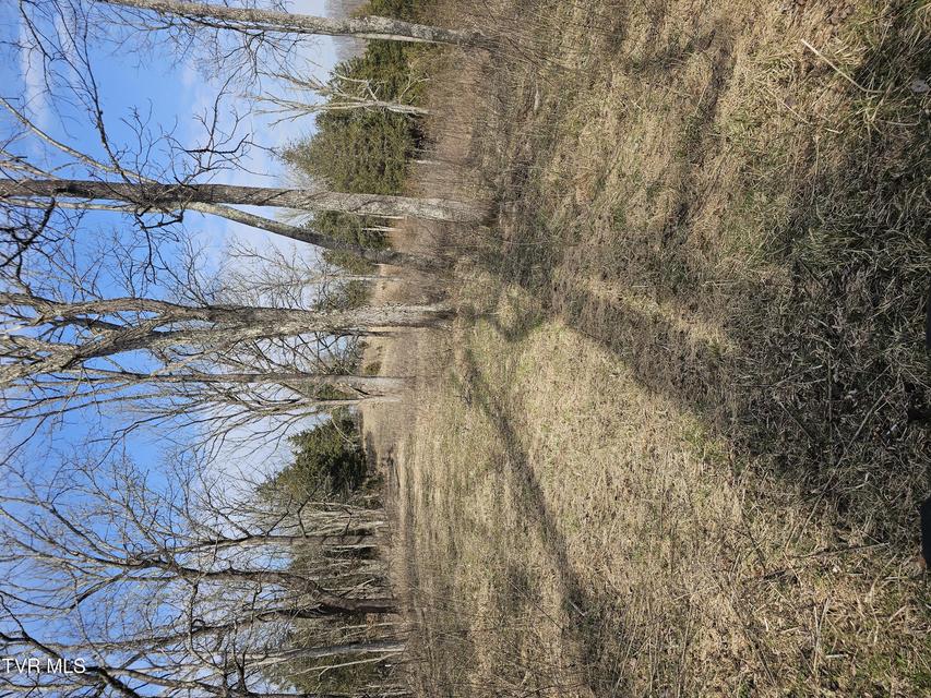 Photo #95: 547 Wynding Way Drive