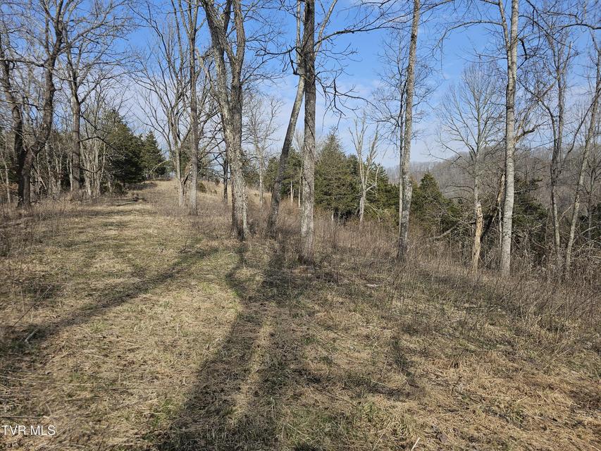 Photo #96: 547 Wynding Way Drive