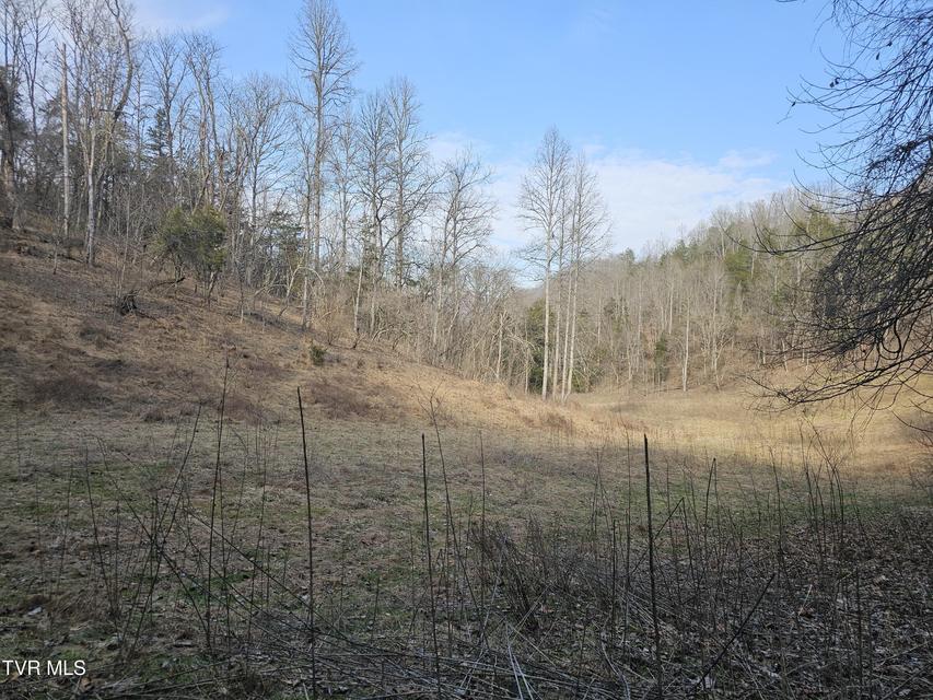 Photo #98: 547 Wynding Way Drive