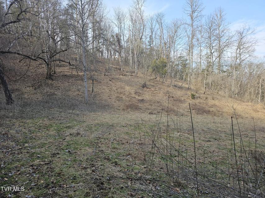 Photo #99: 547 Wynding Way Drive