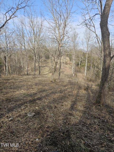 Photo #93: 547 Wynding Way Drive