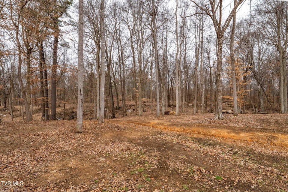 Photo #90: 2920 Antioch Road