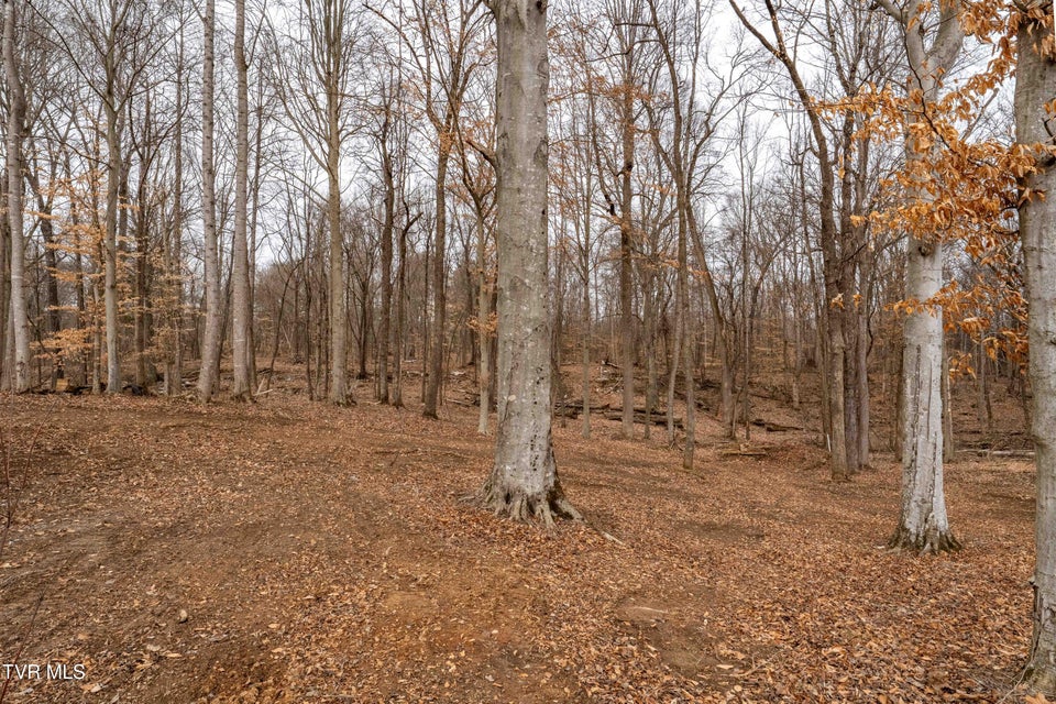 Photo #93: 2920 Antioch Road