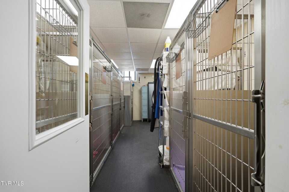 Photo #48: 117 Ed Hines Drive