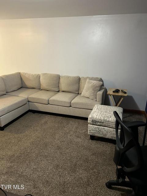 Photo #38: 211 Linda Street